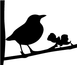 Black bird Logo